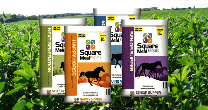 Square Meal Feeds Products
