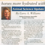 photo-for-horse-hydration-article